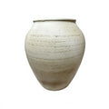 Traditional Blue and White Peony Ceramic Ginger Jar White Background